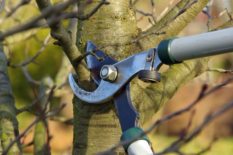 Pruning Techniques